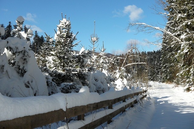 Gorski kotar